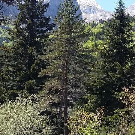 Hospederia Prepirineo אורחן