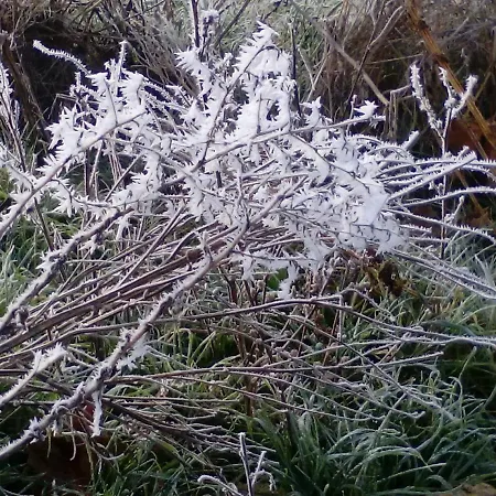 Hospederia Prepirineo *