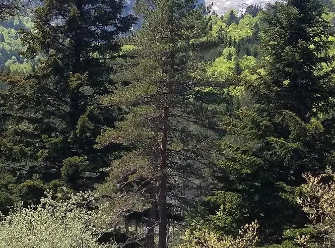 Hospederia Prepirineo Inn