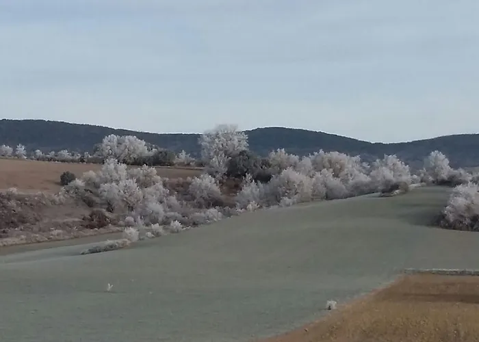 Hospederia Prepirineo Inn *