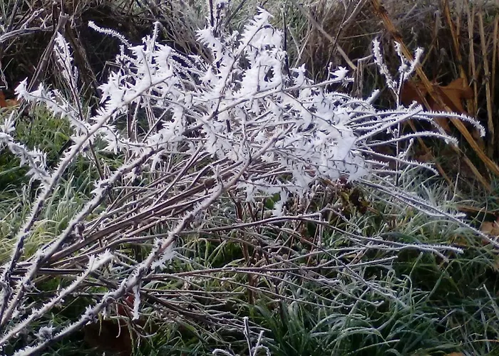 Hospederia Prepirineo *